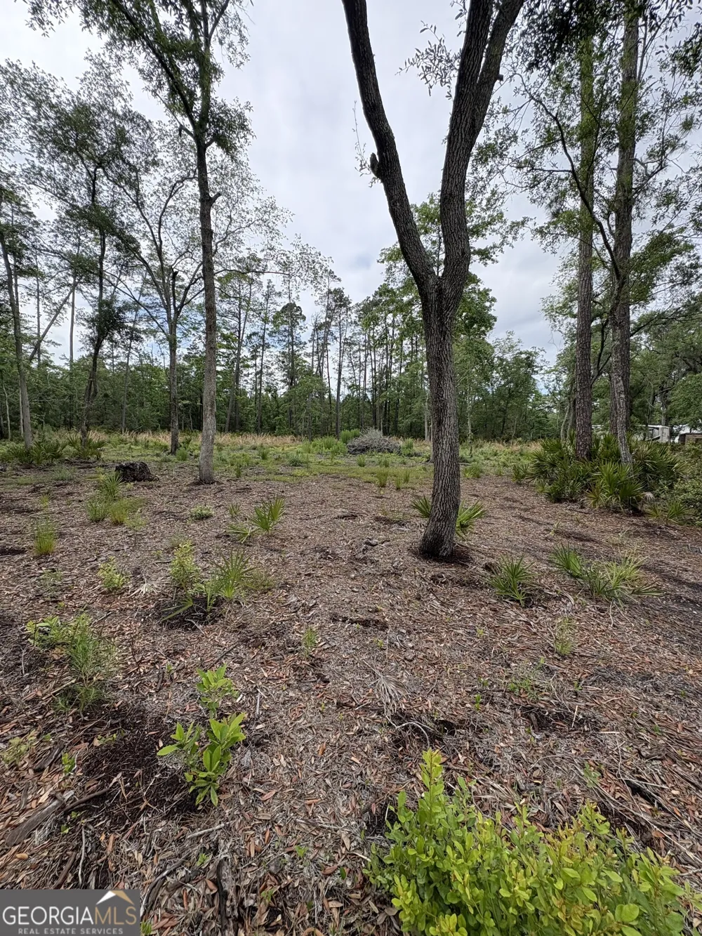 0 Piney Bluff Lot 5 RD Waverly, GA 31565