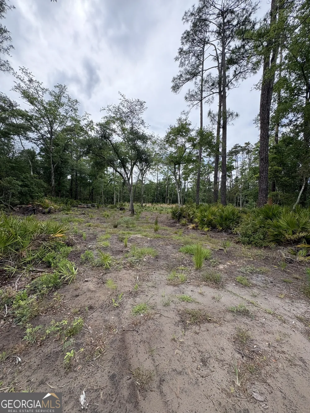 0 Piney Bluff Lot 5 RD Waverly, GA 31565