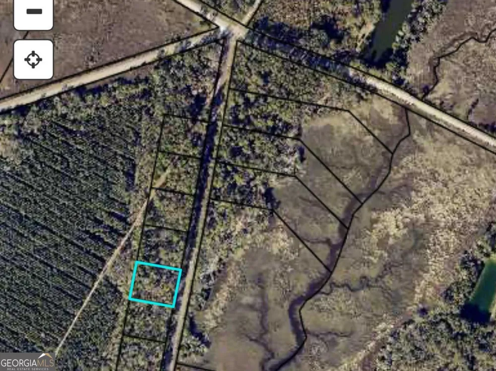 0 Piney Bluff Lot 5 RD Waverly, GA 31565