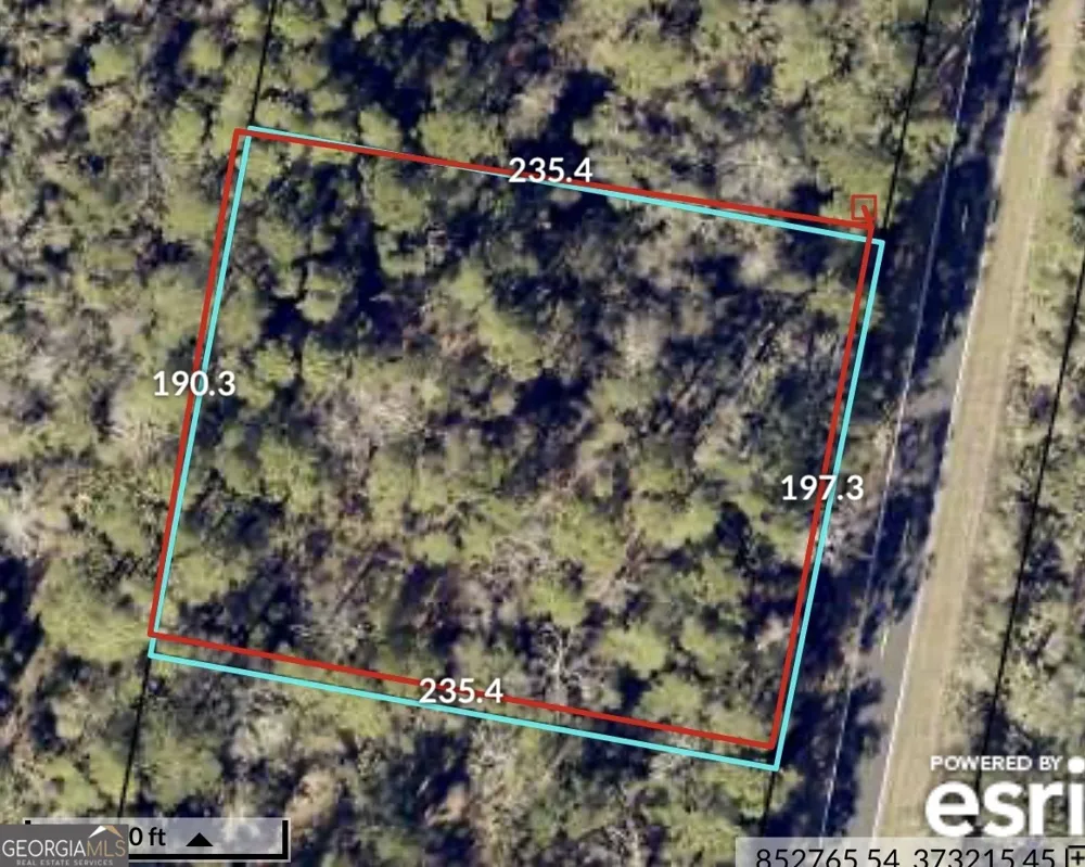 0 Piney Bluff Lot 5 RD Waverly, GA 31565