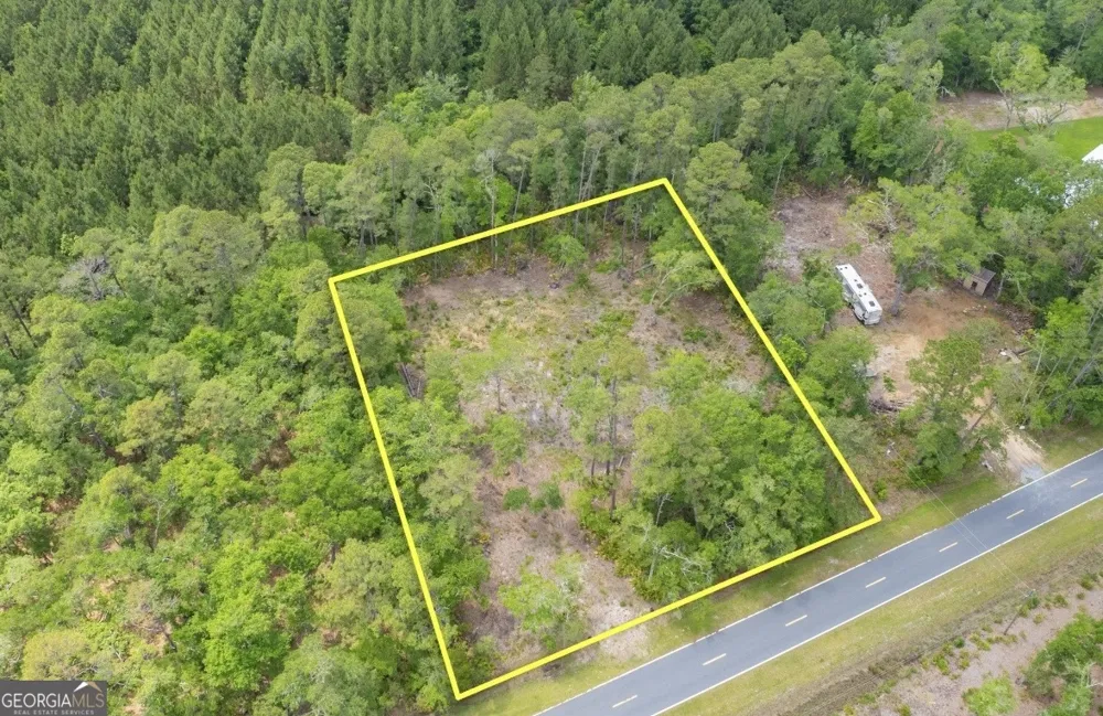 0 Piney Bluff Lot 5 RD Waverly, GA 31565