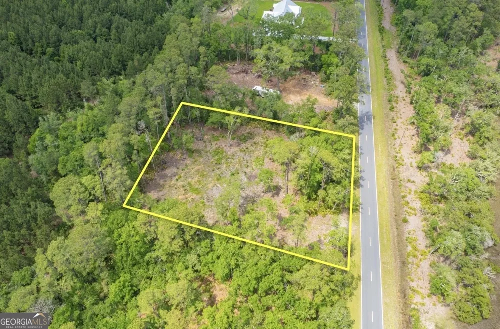 0 Piney Bluff Lot 5 RD Waverly, GA 31565