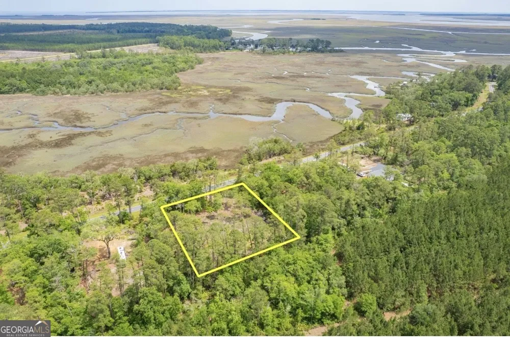 0 Piney Bluff Lot 5 RD Waverly, GA 31565