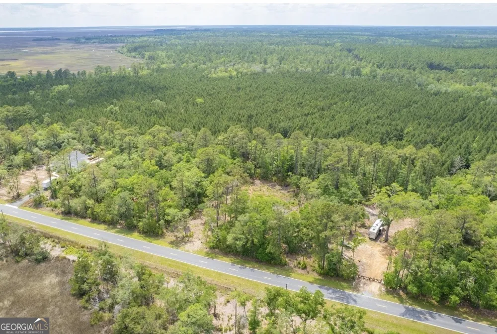 0 Piney Bluff Lot 5 RD Waverly, GA 31565