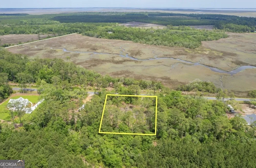 0 Piney Bluff Lot 5 RD Waverly, GA 31565