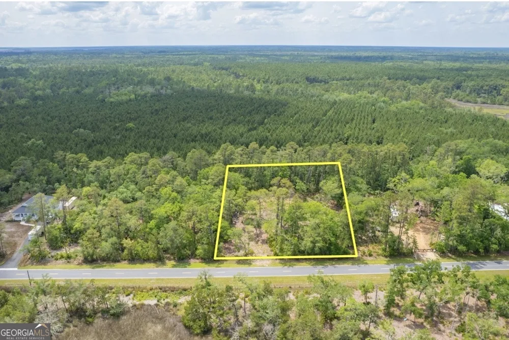 0 Piney Bluff Lot 5 RD Waverly, GA 31565