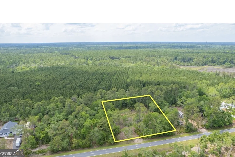 0 Piney Bluff Lot 5 RD Waverly, GA 31565