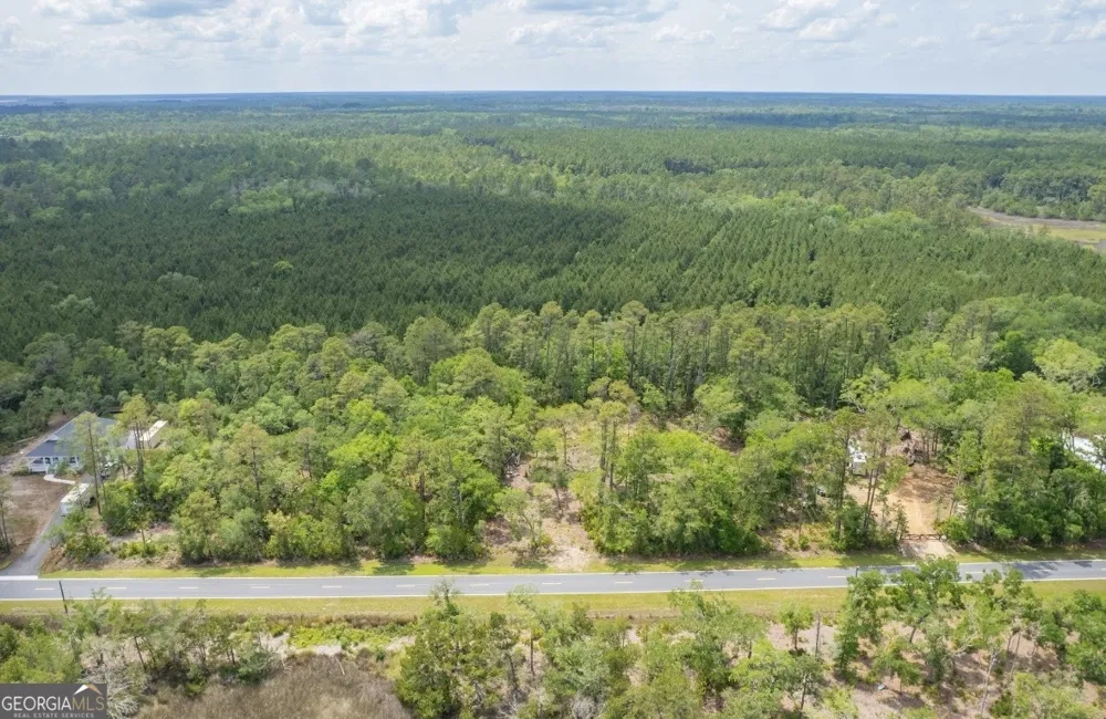 0 Piney Bluff Lot 5 RD Waverly, GA 31565
