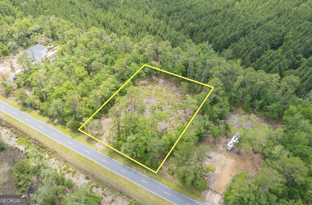 0 Piney Bluff Lot 5 RD Waverly, GA 31565