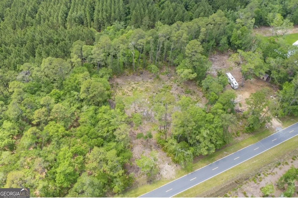 0 Piney Bluff Lot 5 RD Waverly, GA 31565