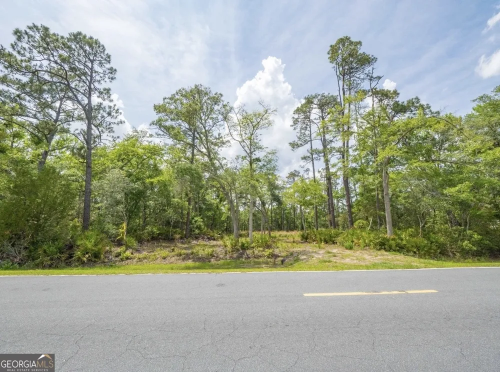 0 Piney Bluff Lot 5 RD Waverly, GA 31565
