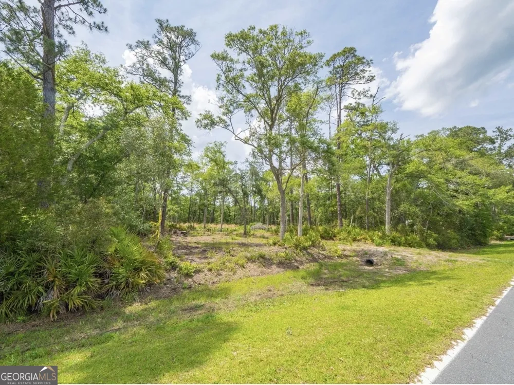 0 Piney Bluff Lot 5 RD Waverly, GA 31565