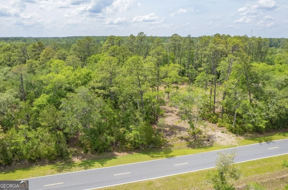 0 Piney Bluff Lot 5 RD Waverly, GA 31565
