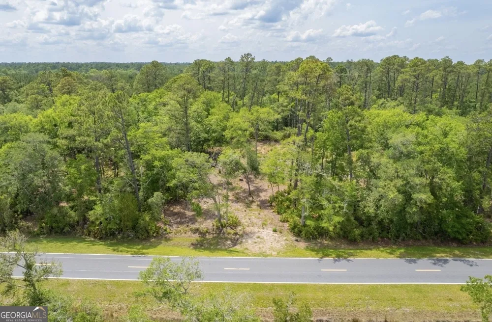 0 Piney Bluff Lot 5 RD Waverly, GA 31565