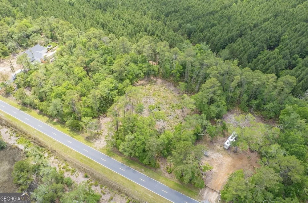 0 Piney Bluff Lot 5 RD Waverly, GA 31565