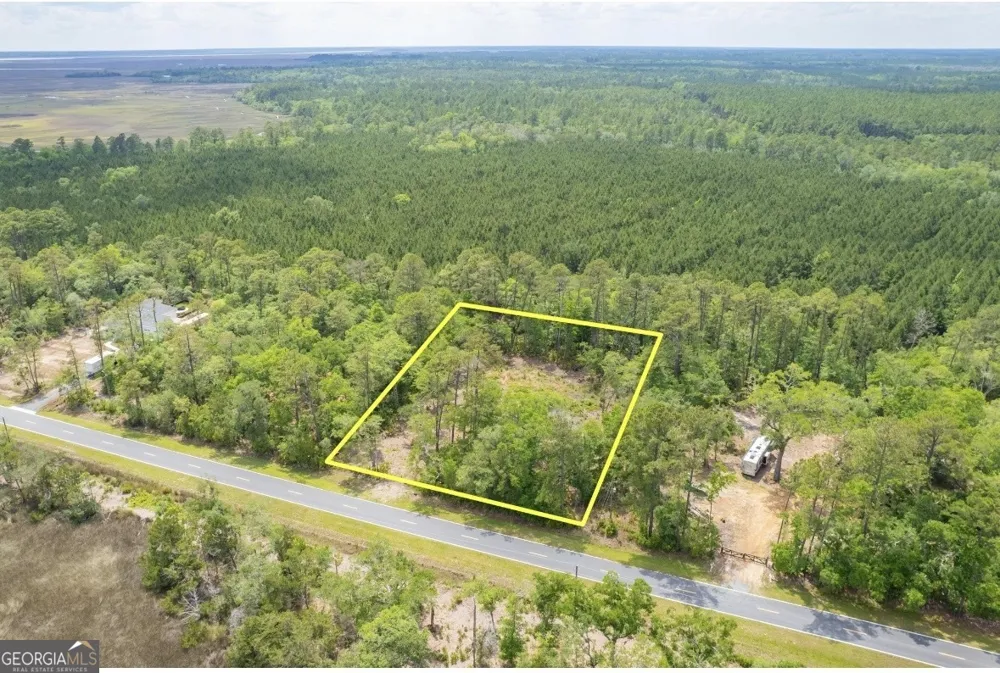 0 Piney Bluff Lot 5 RD Waverly, GA 31565