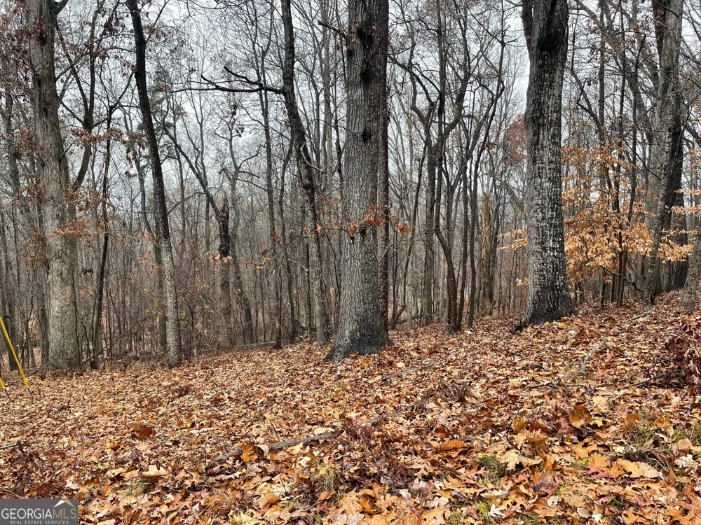 0 S Arrowhead DR Westminster, SC 29693