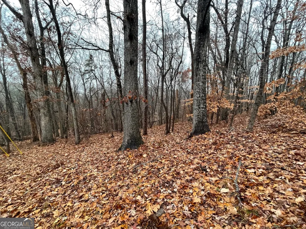 0 S Arrowhead DR Westminster, SC 29693