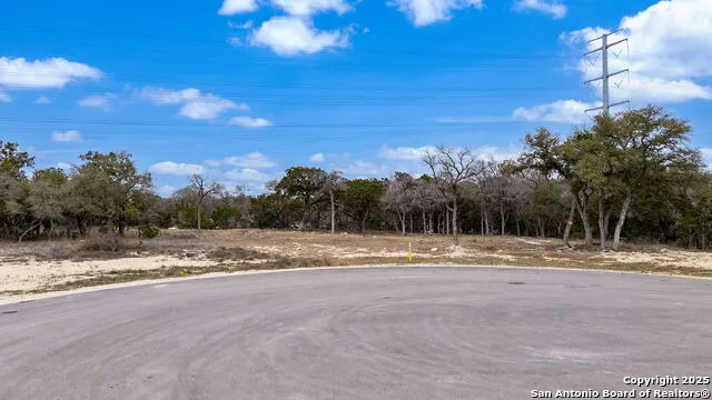 688 TRAVIS FOREST DR Bulverde, TX 78163