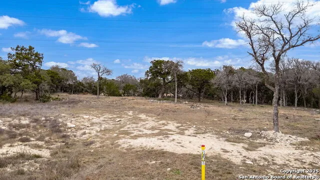 688 TRAVIS FOREST DR Bulverde, TX 78163