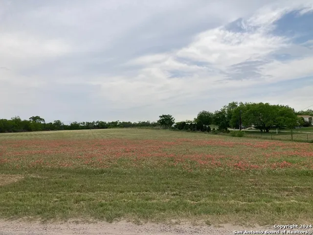 1 COUNTY RD # 163 Elmendorf, TX 78112