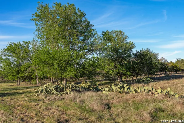 0020 Clearwater Comfort, TX 78013