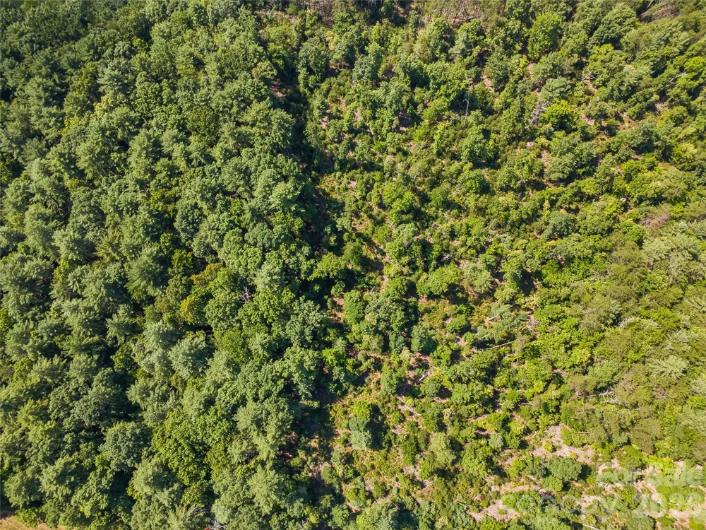 0 Burns Road Granite Falls, NC 28630