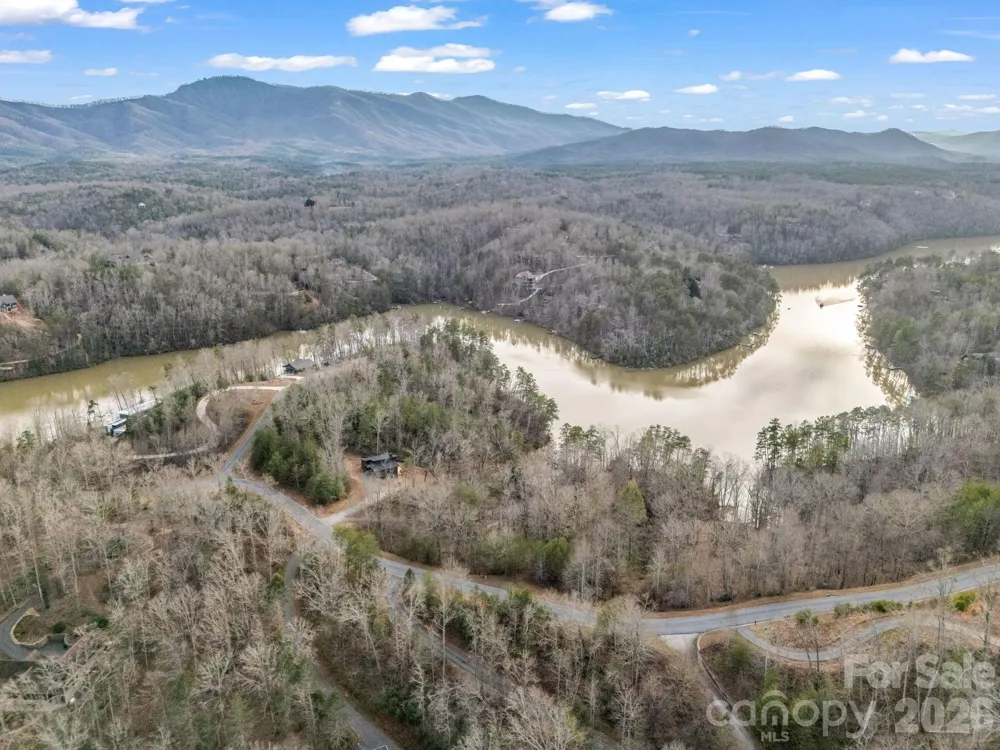 2 Jackson Cove Road W Mill Spring, NC 28756