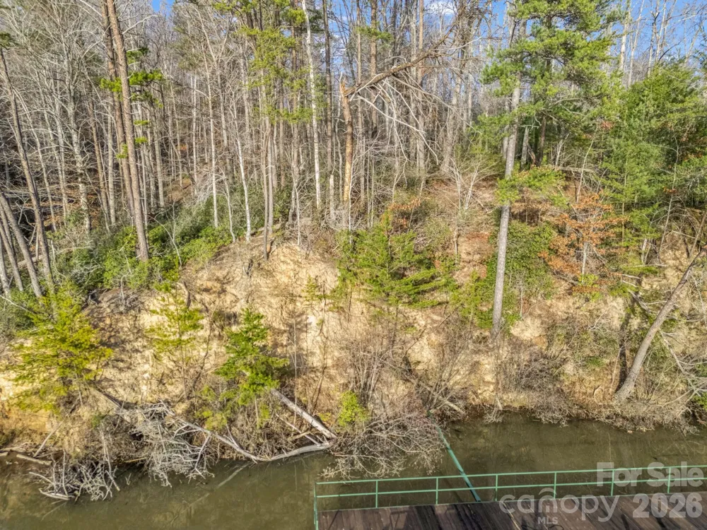 2 Jackson Cove Road W Mill Spring, NC 28756