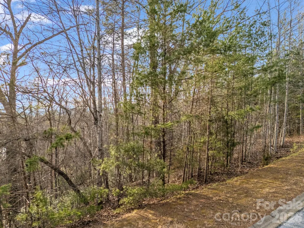 2 Jackson Cove Road W Mill Spring, NC 28756