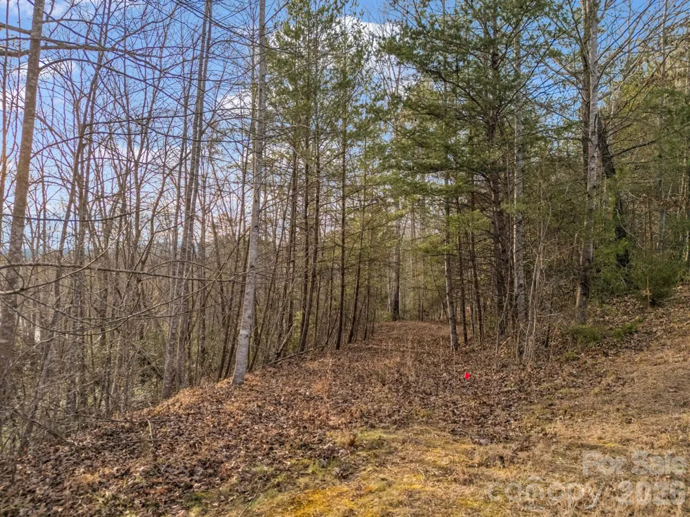 2 Jackson Cove Road W Mill Spring, NC 28756