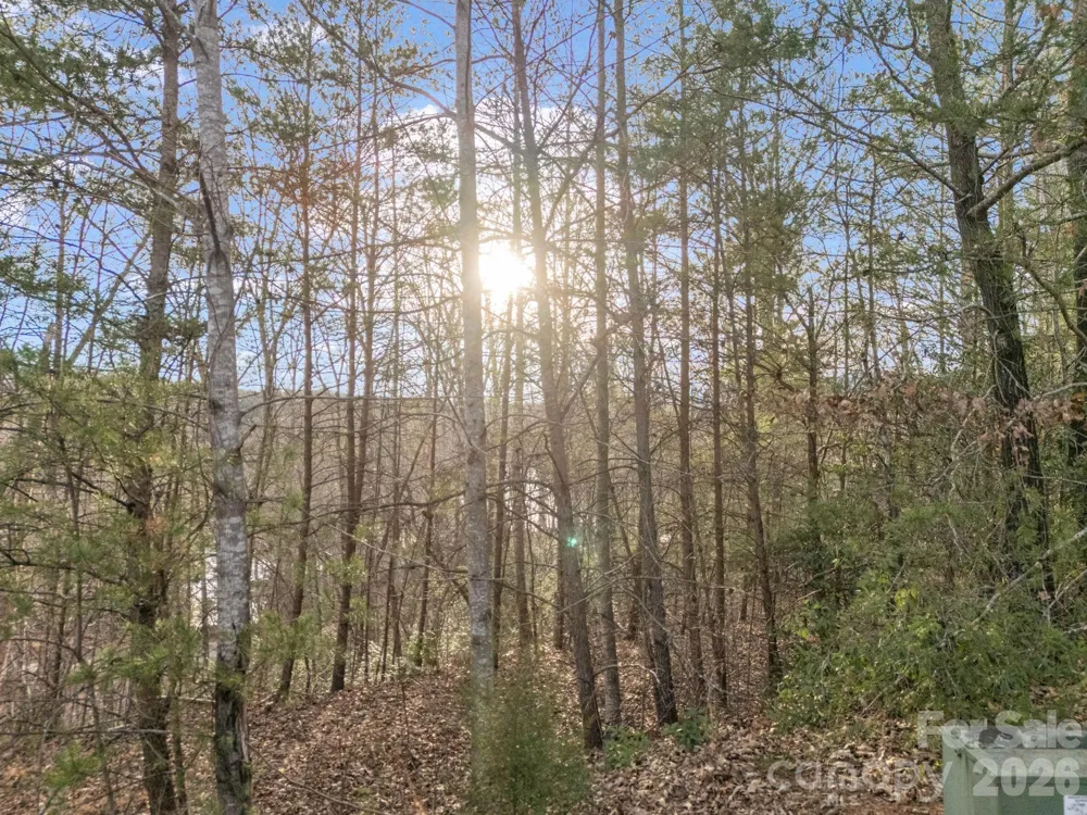 2 Jackson Cove Road W Mill Spring, NC 28756