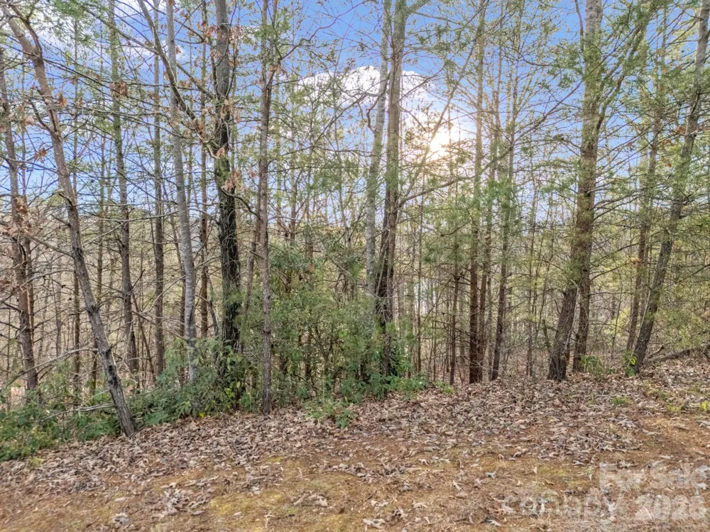 2 Jackson Cove Road W Mill Spring, NC 28756