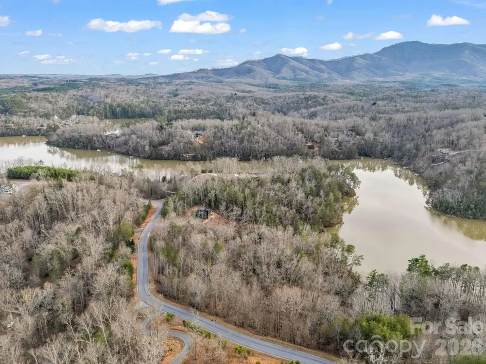 2 Jackson Cove Road W Mill Spring, NC 28756