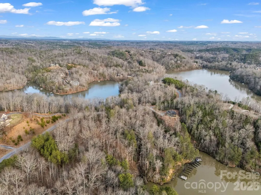 2 Jackson Cove Road W Mill Spring, NC 28756