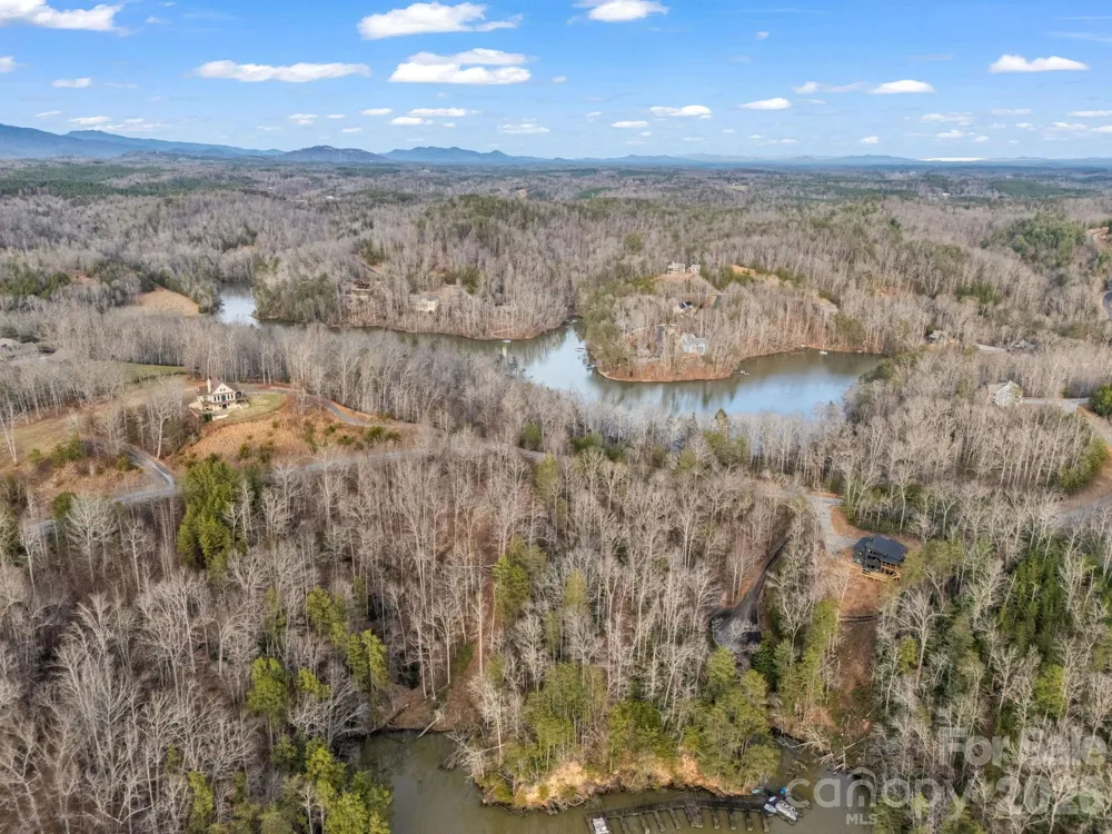 2 Jackson Cove Road W Mill Spring, NC 28756