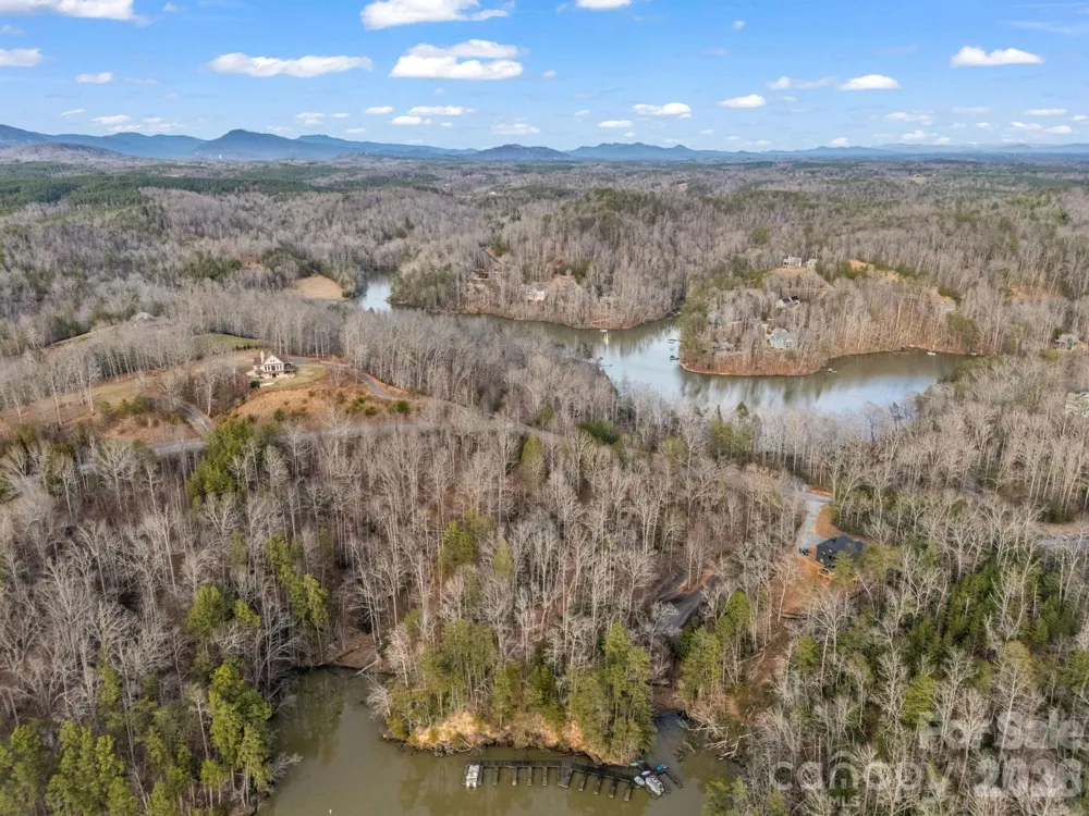 2 Jackson Cove Road W Mill Spring, NC 28756
