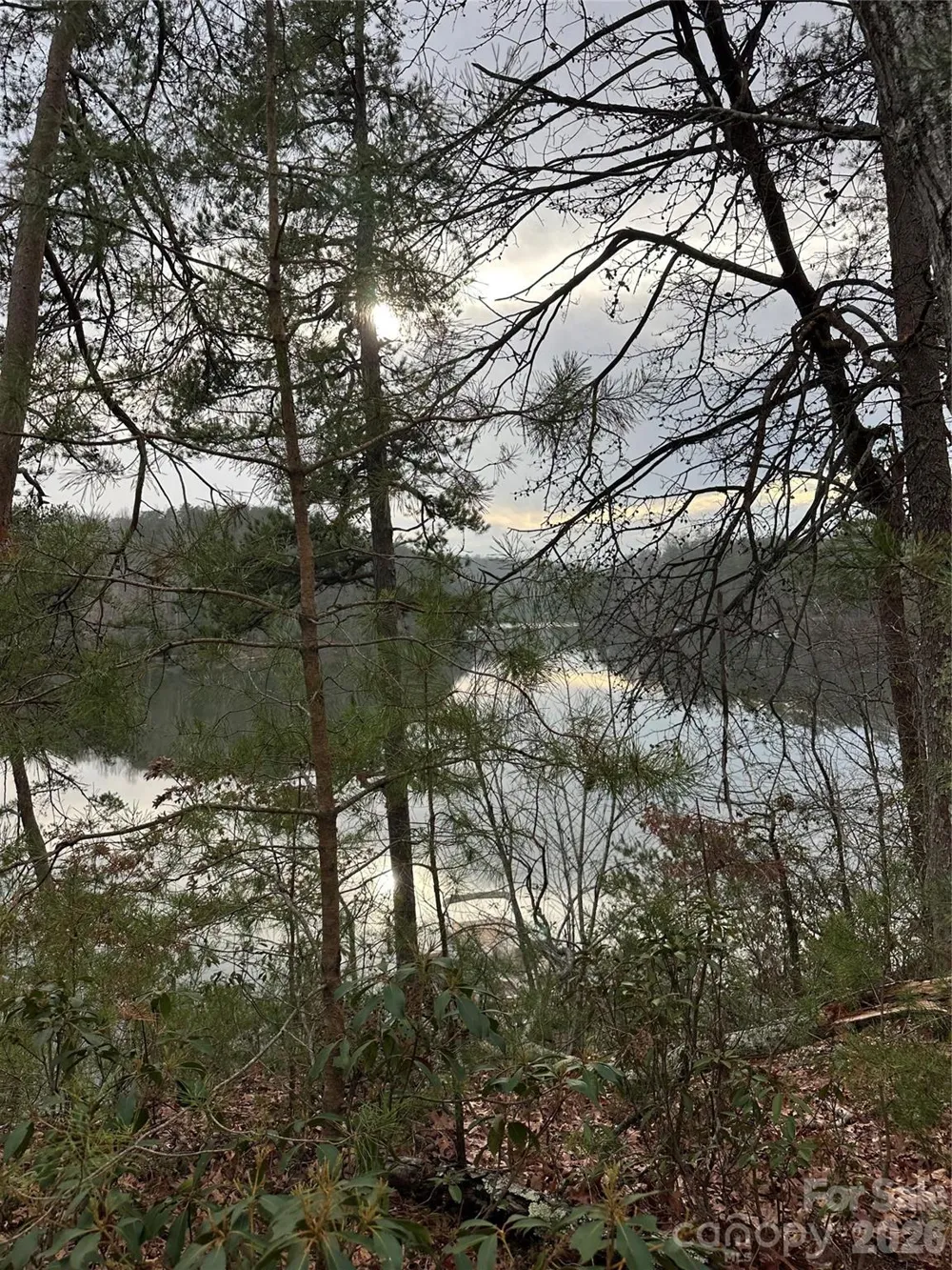 2 Jackson Cove Road W Mill Spring, NC 28756