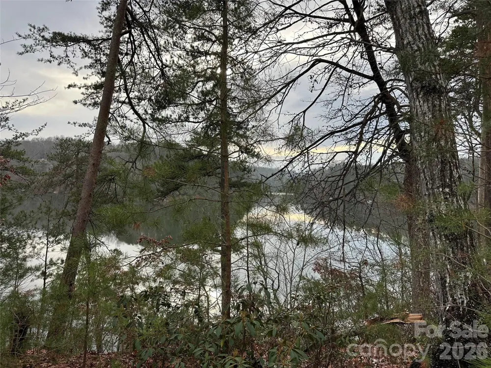2 Jackson Cove Road W Mill Spring, NC 28756