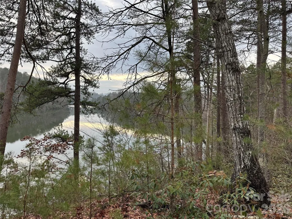 2 Jackson Cove Road W Mill Spring, NC 28756