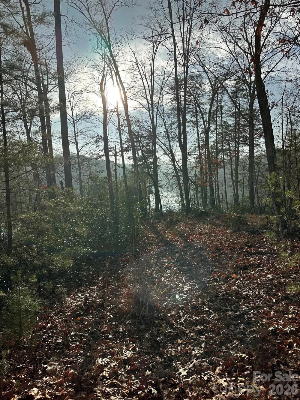 2 Jackson Cove Road W Mill Spring, NC 28756