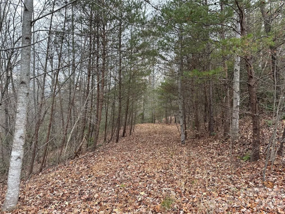 2 Jackson Cove Road W Mill Spring, NC 28756
