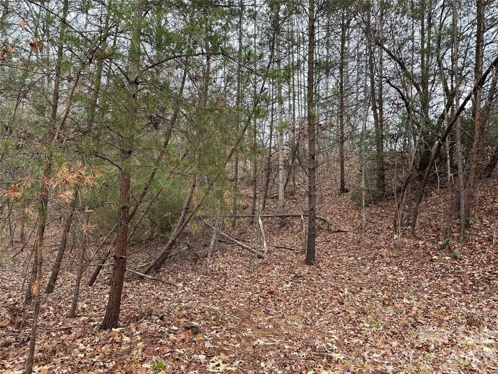 2 Jackson Cove Road W Mill Spring, NC 28756