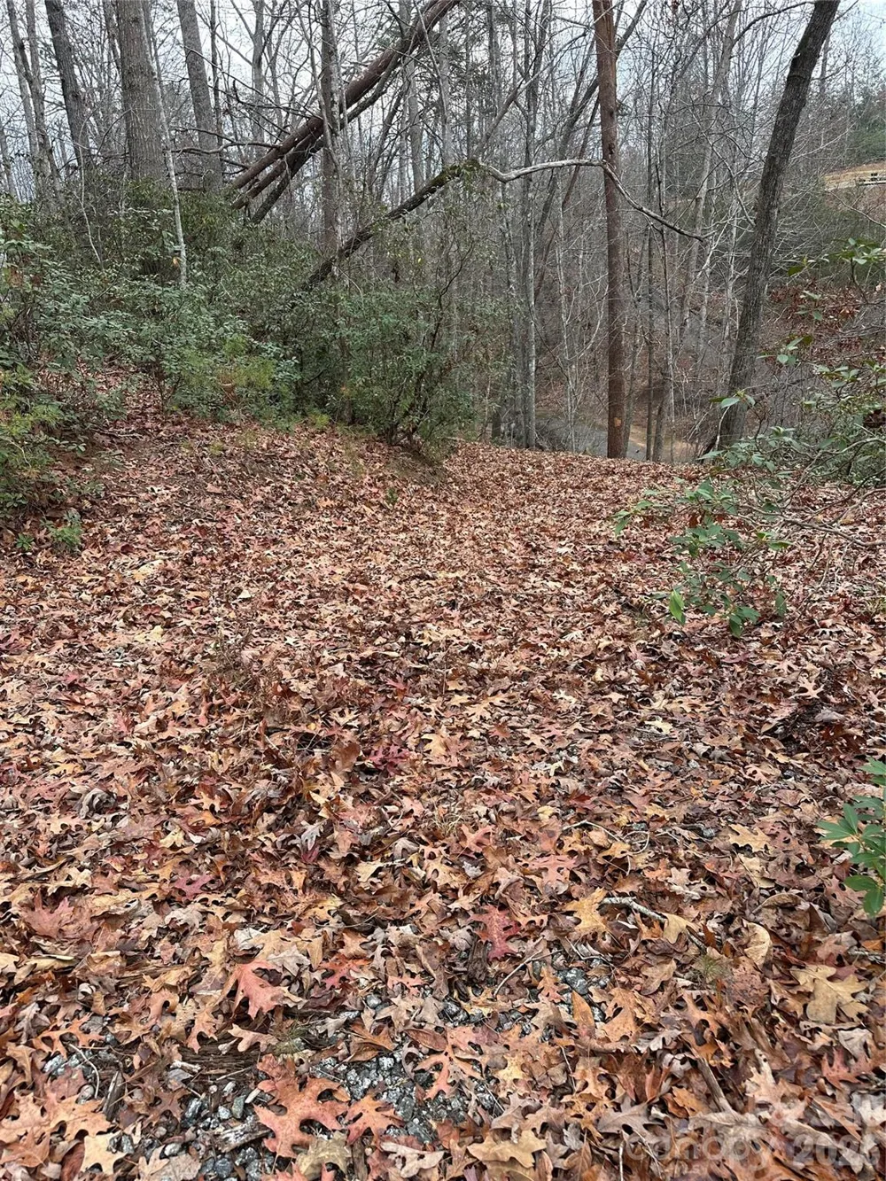 2 Jackson Cove Road W Mill Spring, NC 28756