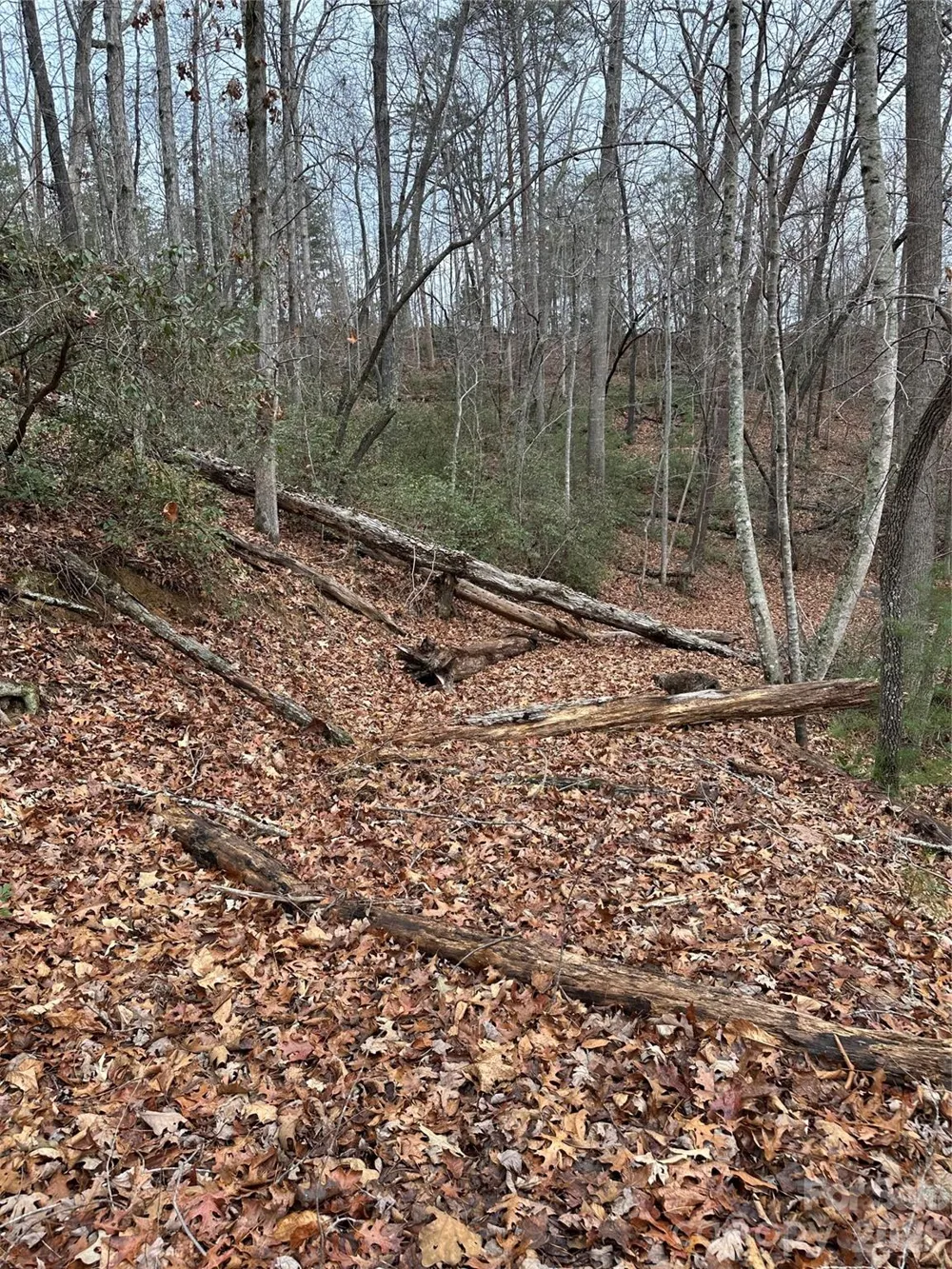 2 Jackson Cove Road W Mill Spring, NC 28756