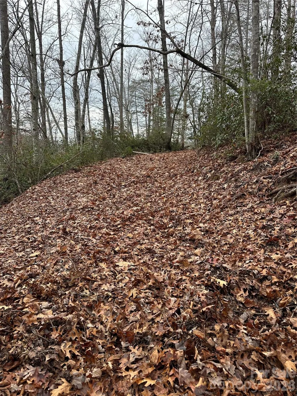 2 Jackson Cove Road W Mill Spring, NC 28756