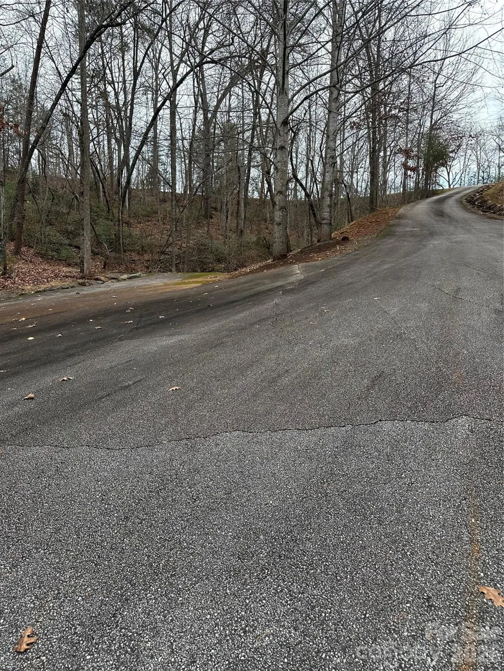 2 Jackson Cove Road W Mill Spring, NC 28756
