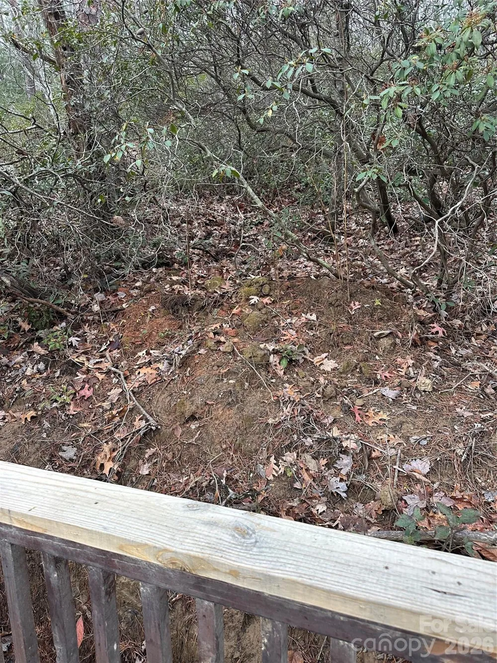 2 Jackson Cove Road W Mill Spring, NC 28756