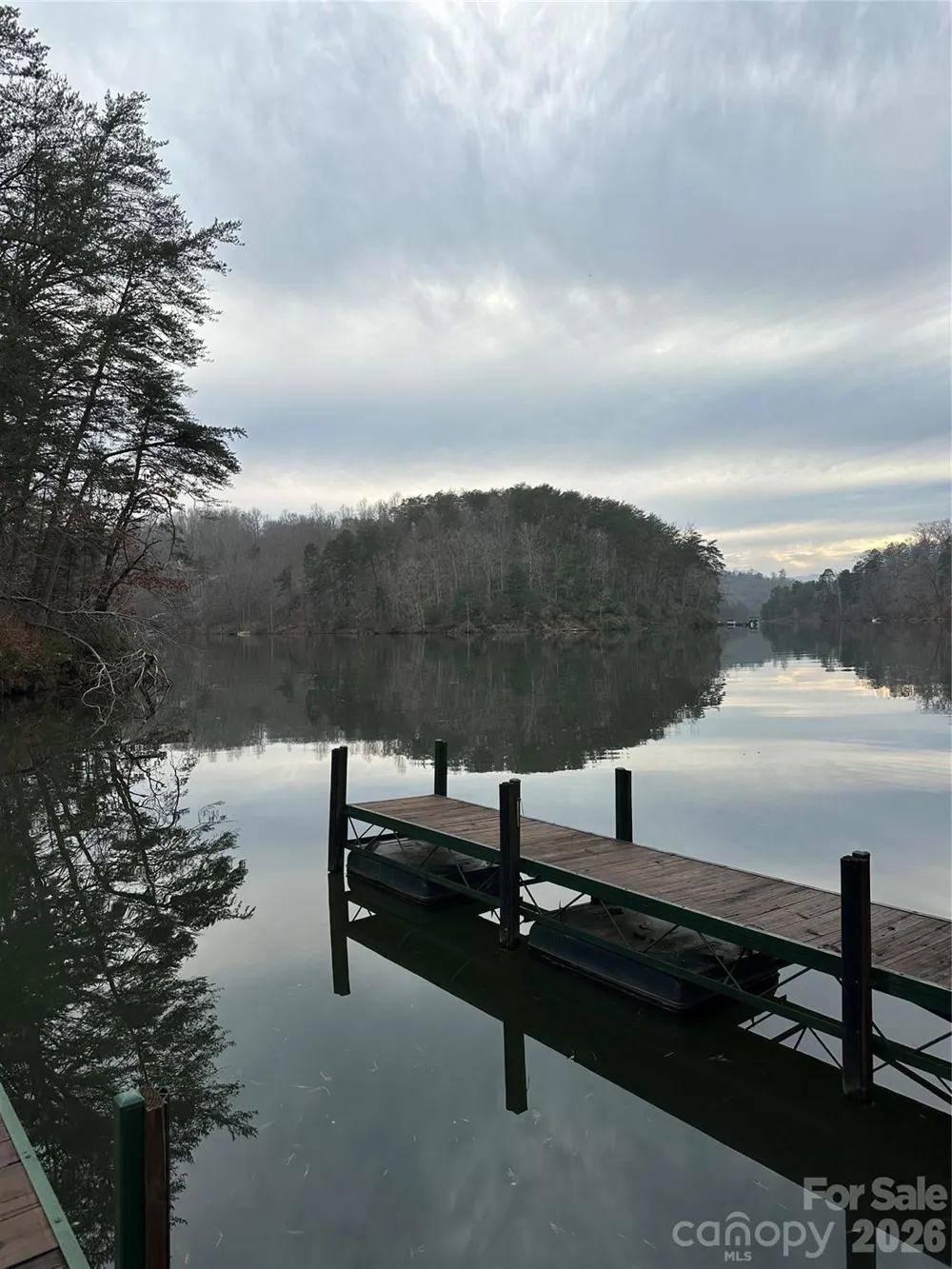 2 Jackson Cove Road W Mill Spring, NC 28756