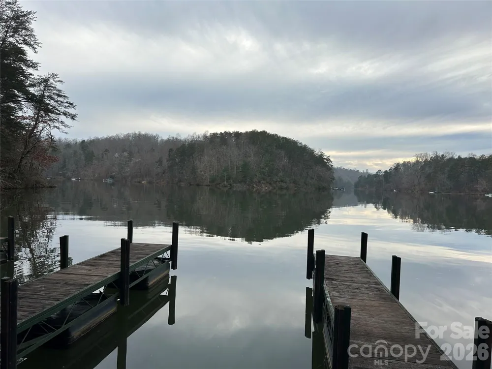 2 Jackson Cove Road W Mill Spring, NC 28756